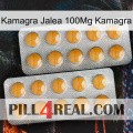 Kamagra Jelly 100Mg Kamagra levitra2